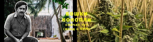 бошки Тутаев