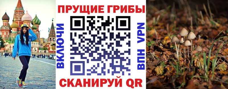 Псилоцибиновые грибы GOLDEN TEACHER  Купить  Тихвин 